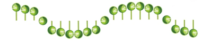 Sodium Hyaluronate Softgel